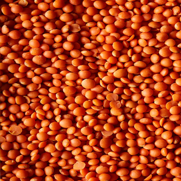 Yerli Kırmızı Mercimek